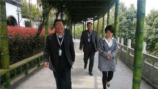 电子艺游平台