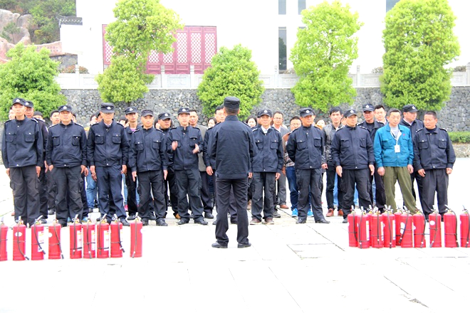电子艺游平台