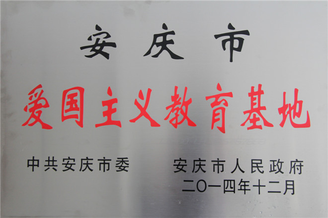 电子艺游平台