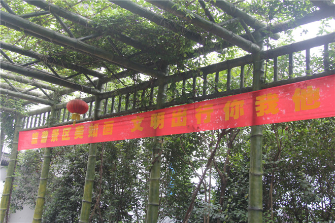 电子艺游平台