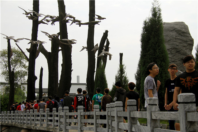 电子艺游平台