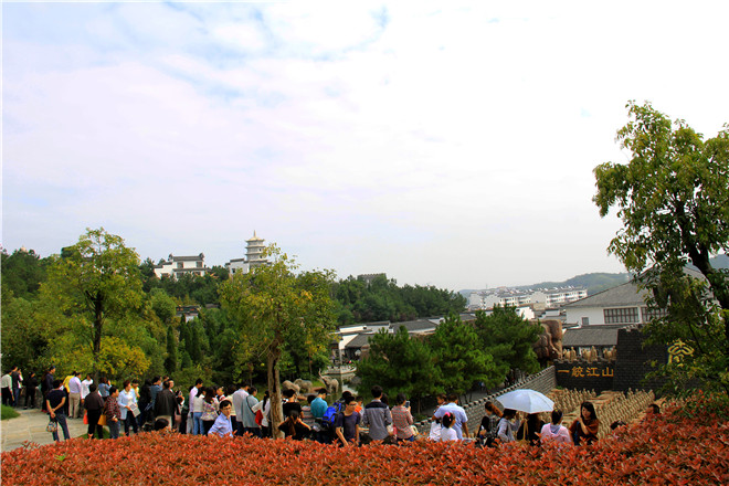 电子艺游平台