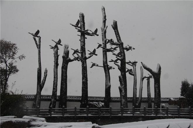 电子艺游平台
