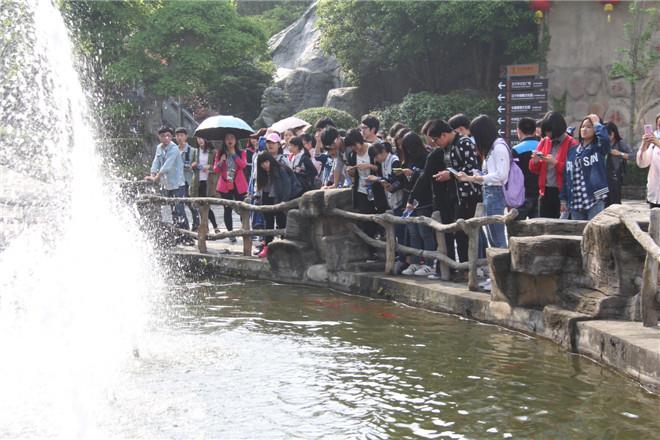 电子艺游平台