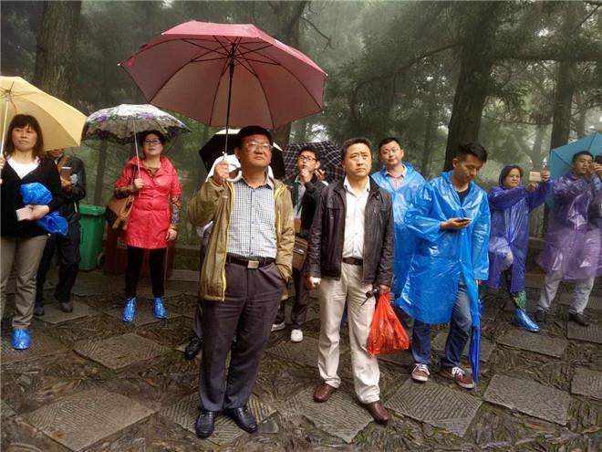 电子艺游平台